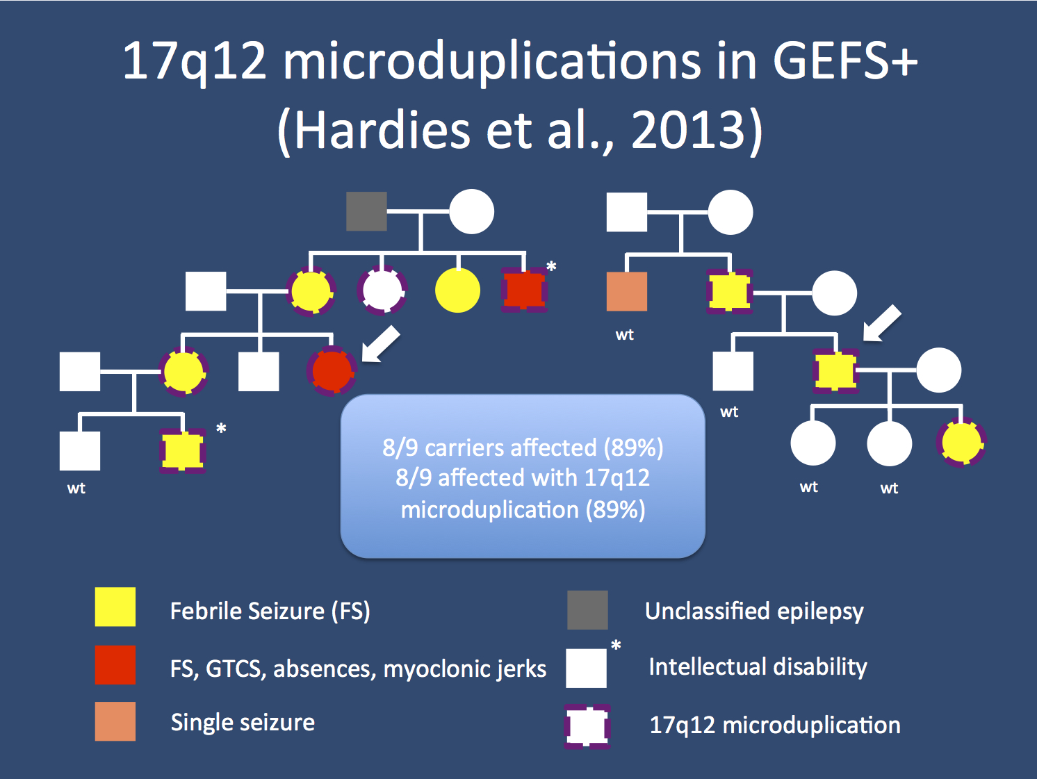 Two GEFS+ families with inherited microduplications at 17q12. The phenotypes in the families range from simple Febrile Seizures (FS) to severe epilepsy with intellectual disability. In families like this, some of the aspects of the phenotypic range may be revealed that might otherwise go unnoticed. (wt = wildtype, i.e. not microduplication, GTCS generalized tonic-clonic seizures)